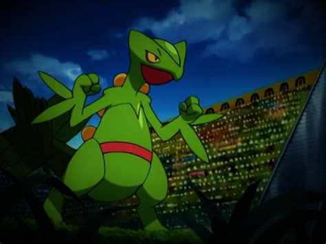 Sceptile by Pokemonsketchartist on DeviantArt.